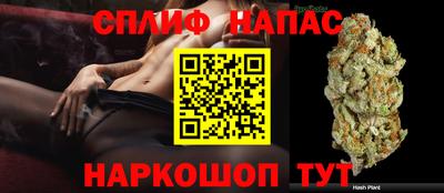 трава Пугачёв