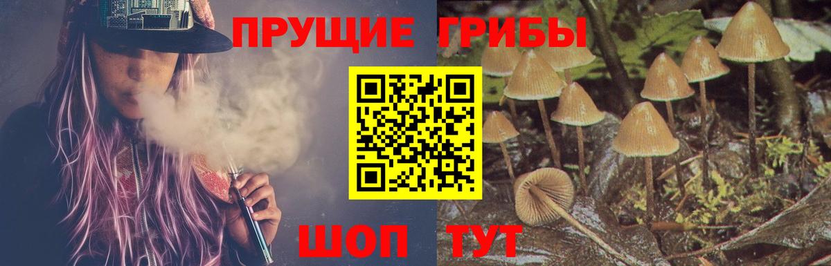 Кокаин  Кетамин  Бошки Шишки  A PVP СОЛЬ кристаллы  ГАШИШ  Меф кристаллы  Сатка  Вход с VPN 